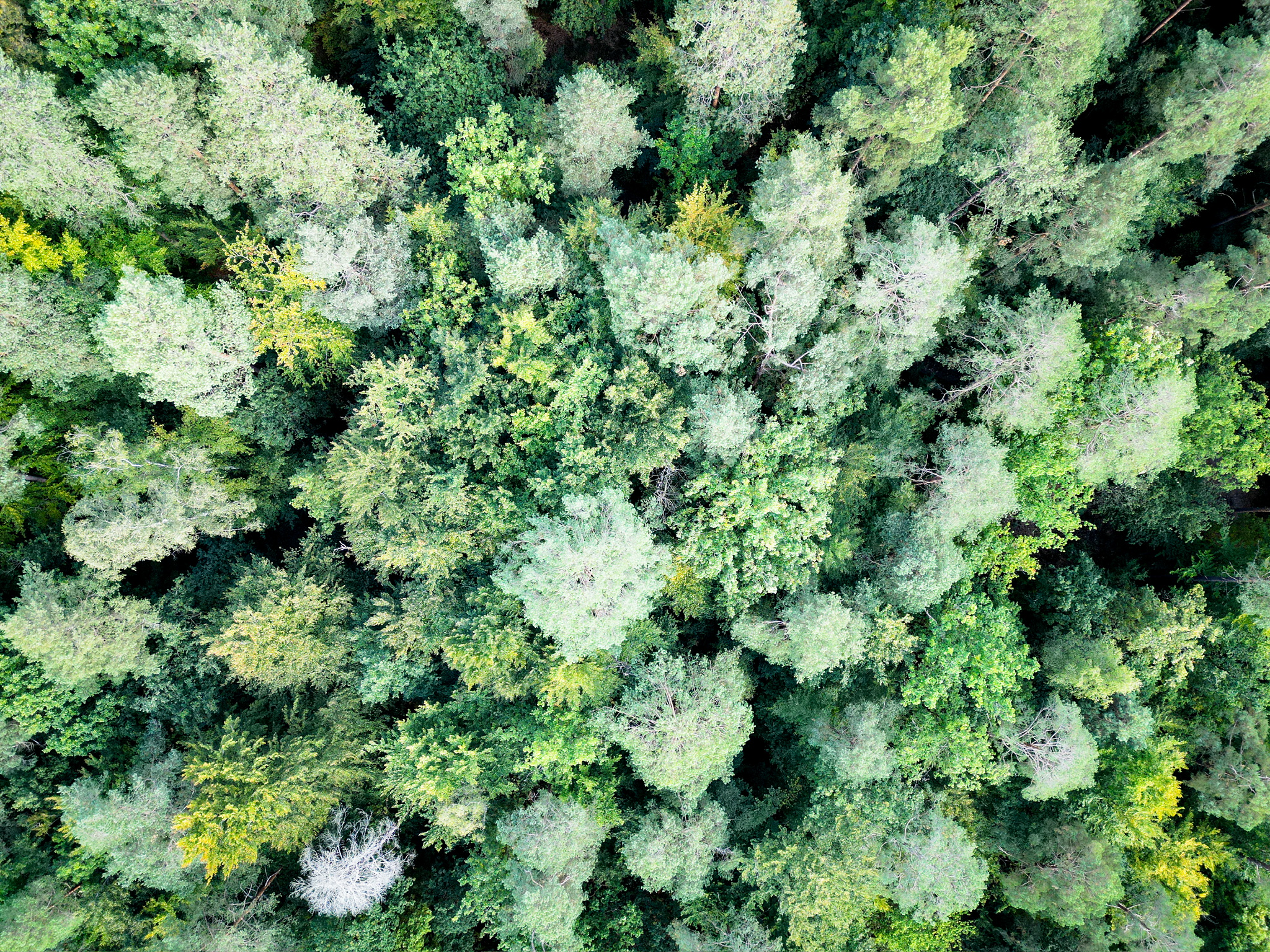 gallery.images.aerial