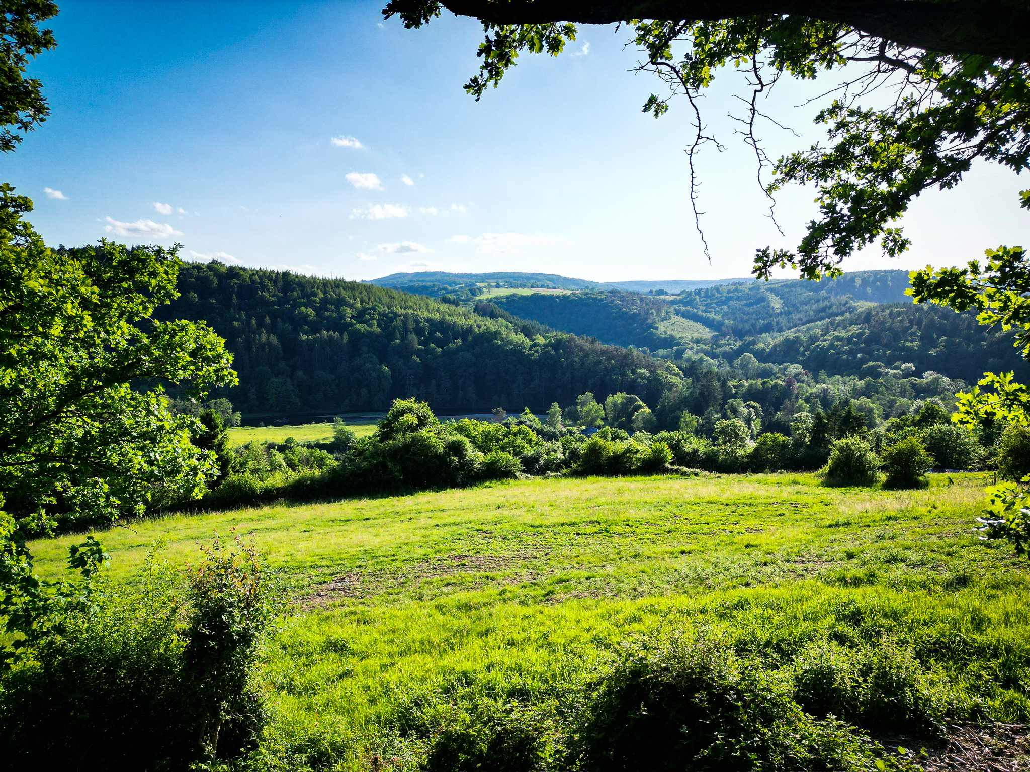 Luftaufnahme der View Lodge eingebettet in den Ardennen