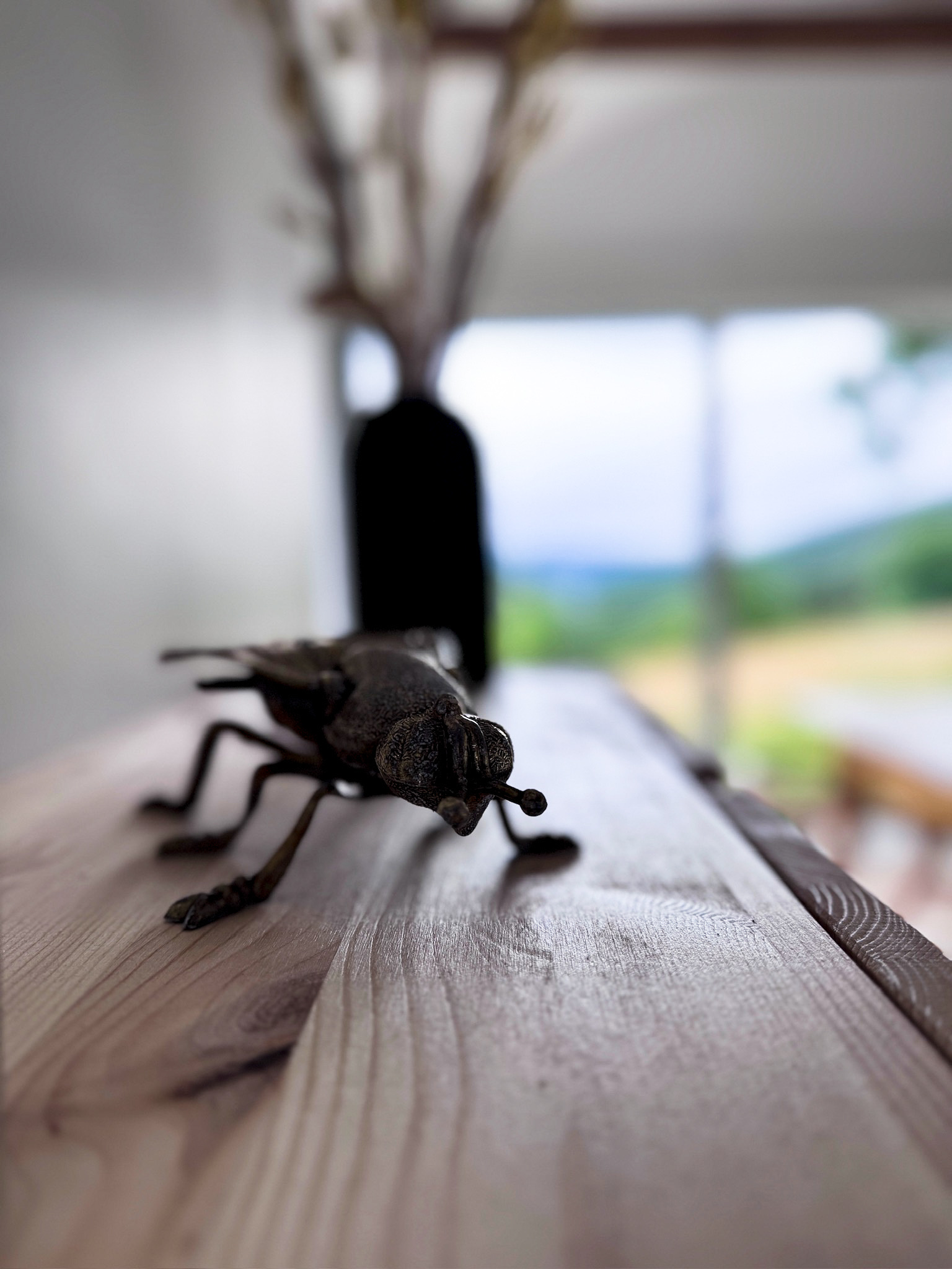 Dekoratives Insektendetail